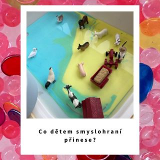 Přemýšlíte, jak nejlépe podpořit rozvoj vašeho malého objevitele? 🌟 Přihlaste ho na kroužek smyslového hraní! 🎨 Tady se...